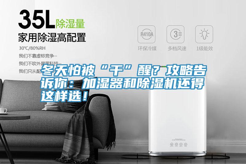 冬天怕被“干”醒？攻略告訴你：加濕器和除濕機還得這樣選！