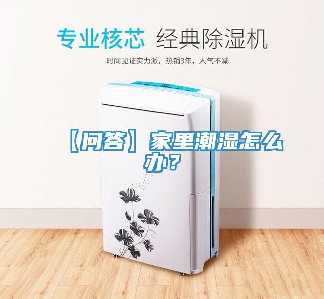 【問答】家里潮濕怎么辦？