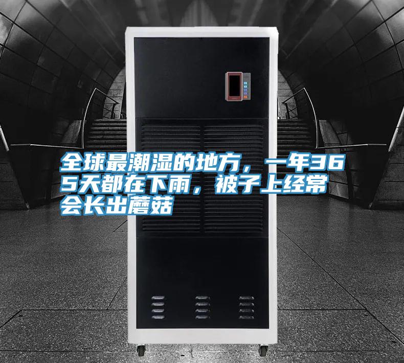 全球最潮濕的地方，一年365天都在下雨，被子上經(jīng)常會長出蘑菇