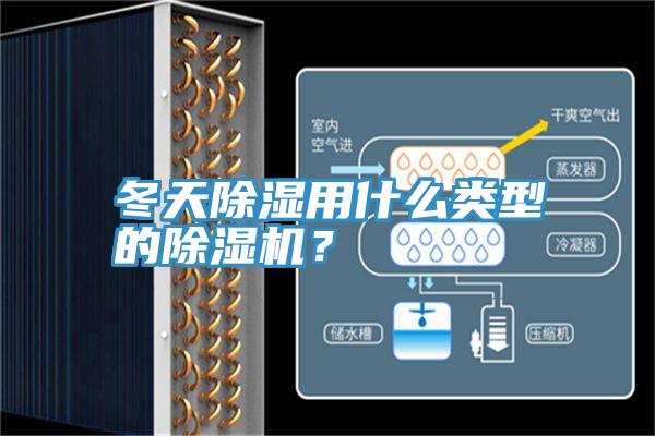 冬天除濕用什么類型的除濕機？