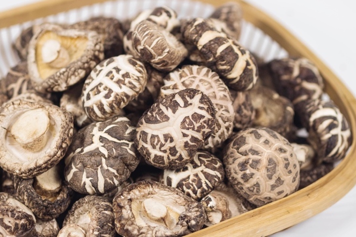 干貨倉庫怎么利用除濕機保持干爽？