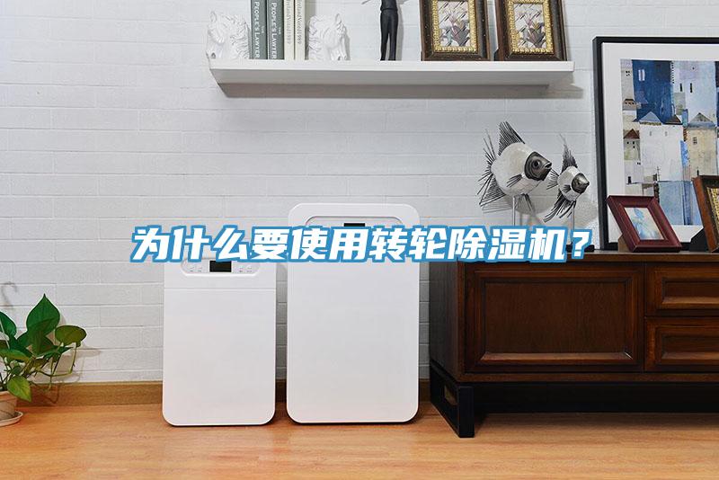 為什么要使用轉輪除濕機?