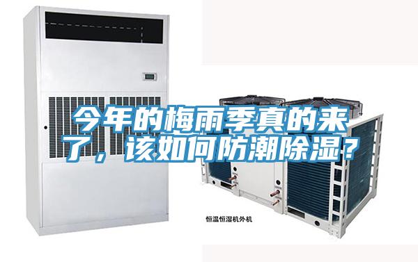 今年的梅雨季真的來了，該如何防潮除濕？