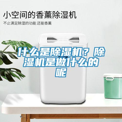 什么是除濕機？除濕機是做什么的呢