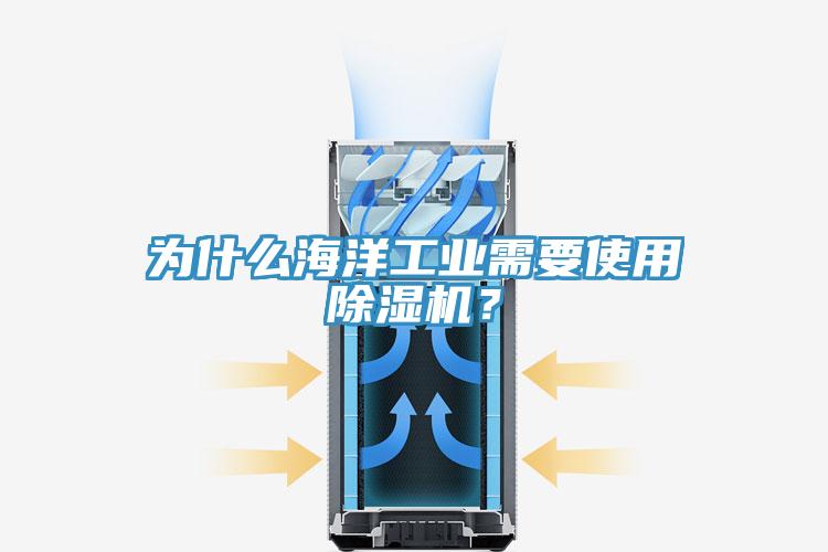 為什么海洋工業需要使用除濕機？