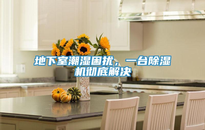 地下室潮濕困擾，一臺除濕機徹底解決