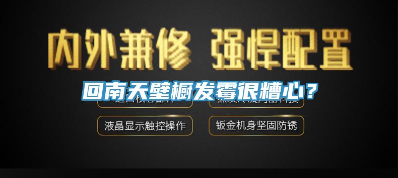 回南天壁櫥發(fā)霉很糟心？