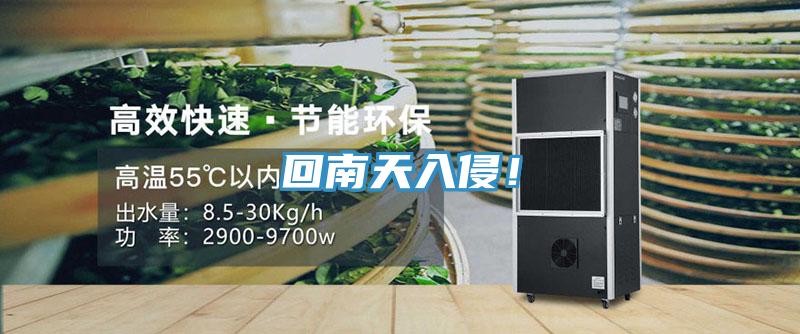 回南天入侵！