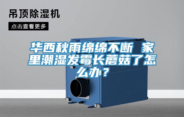 華西秋雨綿綿不斷 家里潮濕發(fā)霉長蘑菇了怎么辦？