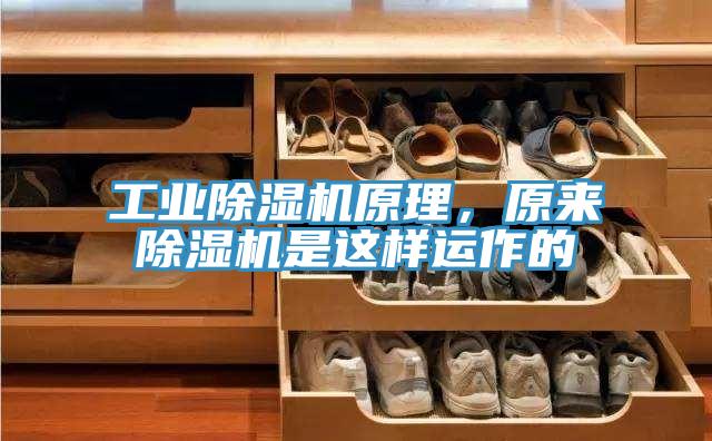 工業除濕機原理，原來除濕機是這樣運作的