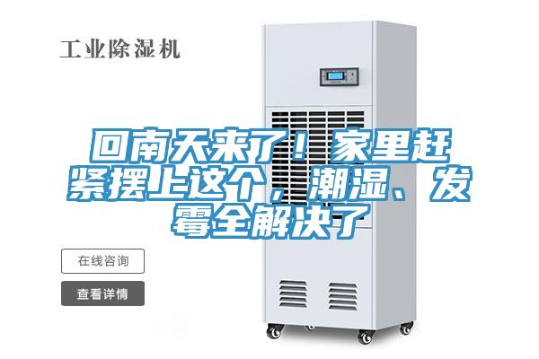 回南天來了！家里趕緊擺上這個，潮濕、發(fā)霉全解決了