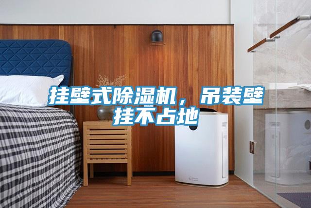 掛壁式除濕機(jī)，吊裝壁掛不占地