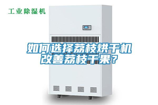 如何選擇荔枝烘干機改善荔枝干果?