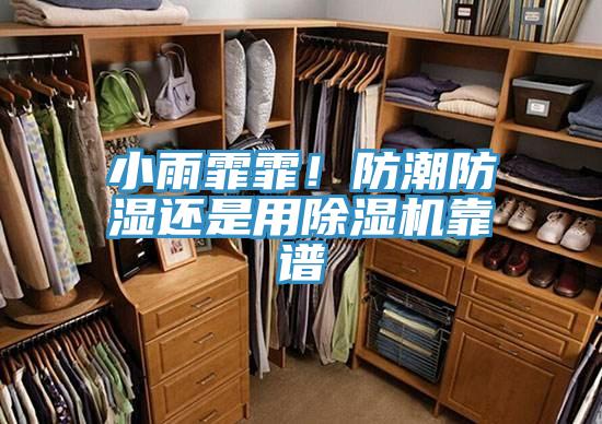 小雨霏霏！防潮防濕還是用除濕機靠譜