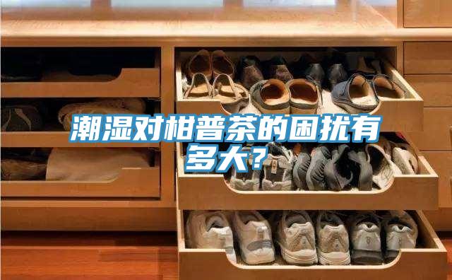 潮濕對(duì)柑普茶的困擾有多大？