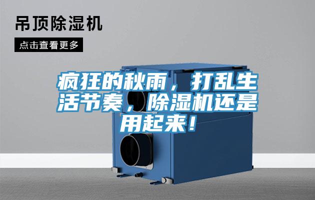 瘋狂的秋雨，打亂生活節(jié)奏，除濕機還是用起來！