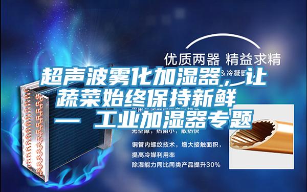 超聲波霧化加濕器，讓蔬菜始終保持新鮮 — 工業加濕器專題