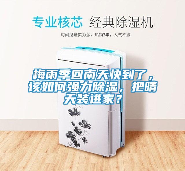 梅雨季回南天快到了，該如何強力除濕，把晴天裝進家？