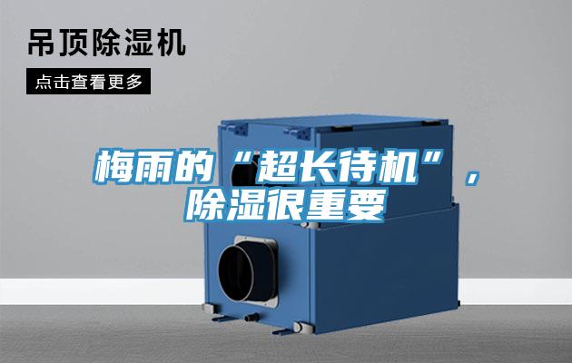 梅雨的“超長(zhǎng)待機(jī)”，除濕很重要