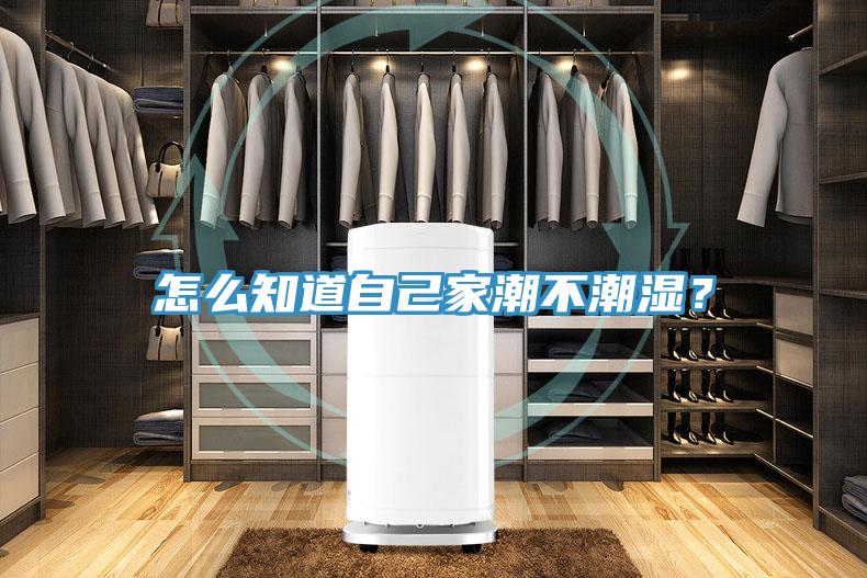 怎么知道自己家潮不潮濕？