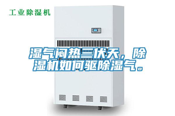 濕氣悶熱三伏天，除濕機如何驅除濕氣。