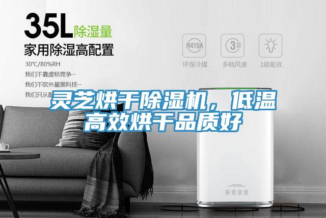 靈芝烘干除濕機，低溫高效烘干品質好