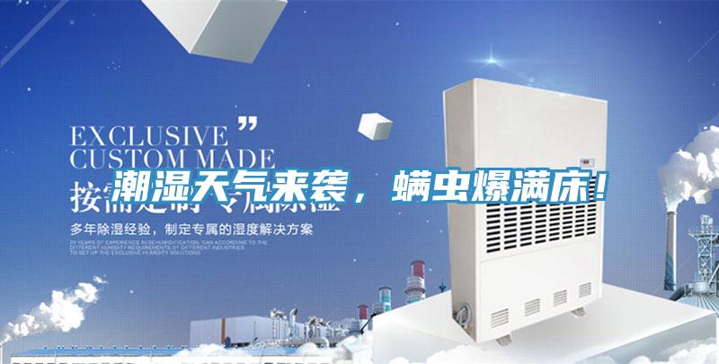 潮濕天氣來(lái)襲，螨蟲爆滿床！