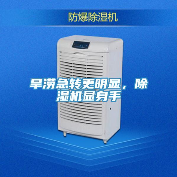 旱澇急轉更明顯，除濕機顯身手