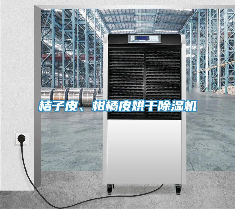 桔子皮、柑橘皮烘干除濕機