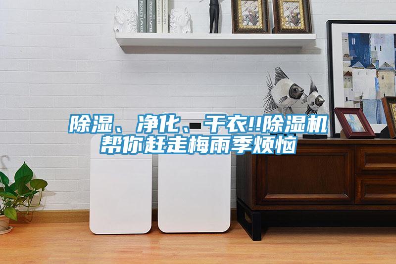 除濕、凈化、干衣!!除濕機幫你趕走梅雨季煩惱