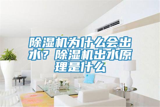 除濕機為什么會出水？除濕機出水原理是什么