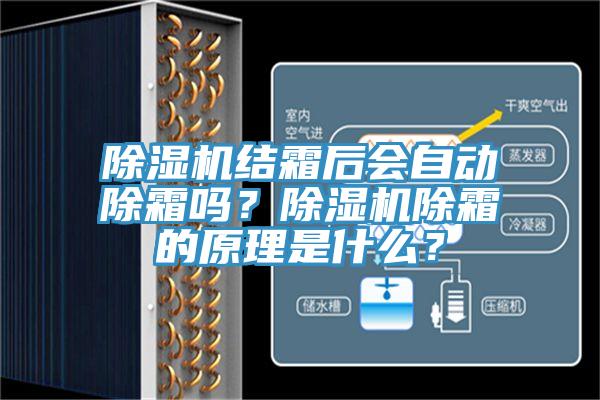 除濕機結霜后會自動除霜嗎？除濕機除霜的原理是什么？