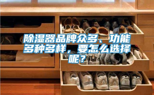 除濕器品牌眾多、功能多種多樣，要怎么選擇呢？