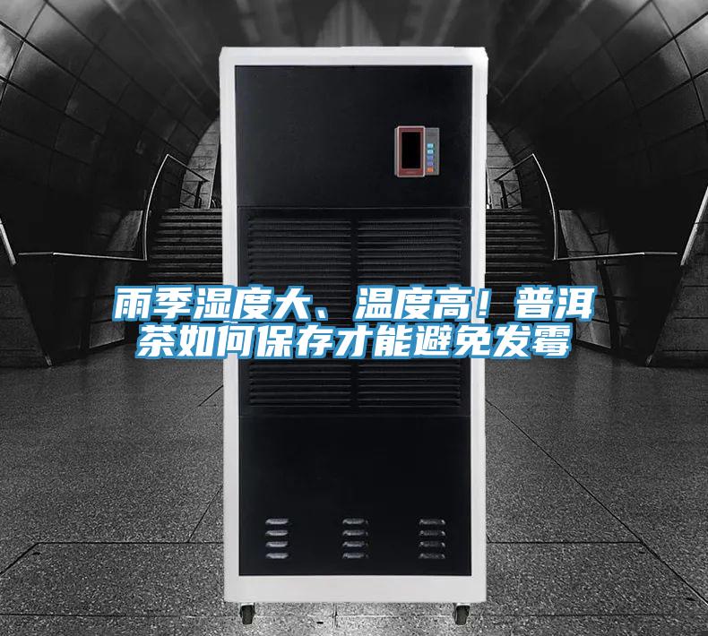 雨季濕度大、溫度高！普洱茶如何保存才能避免發霉