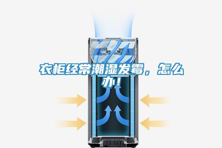 衣柜經(jīng)常潮濕發(fā)霉,怎么辦!