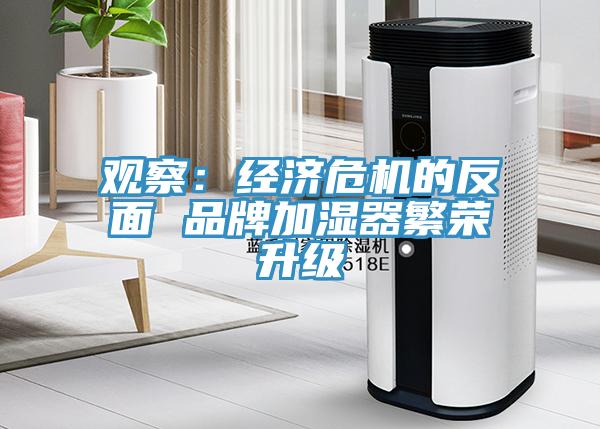 觀察:經濟危機的反面 品牌加濕器繁榮升級