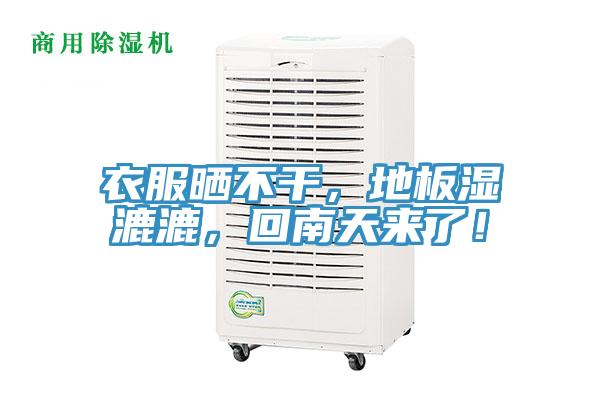 衣服曬不干，地板濕漉漉，回南天來了！