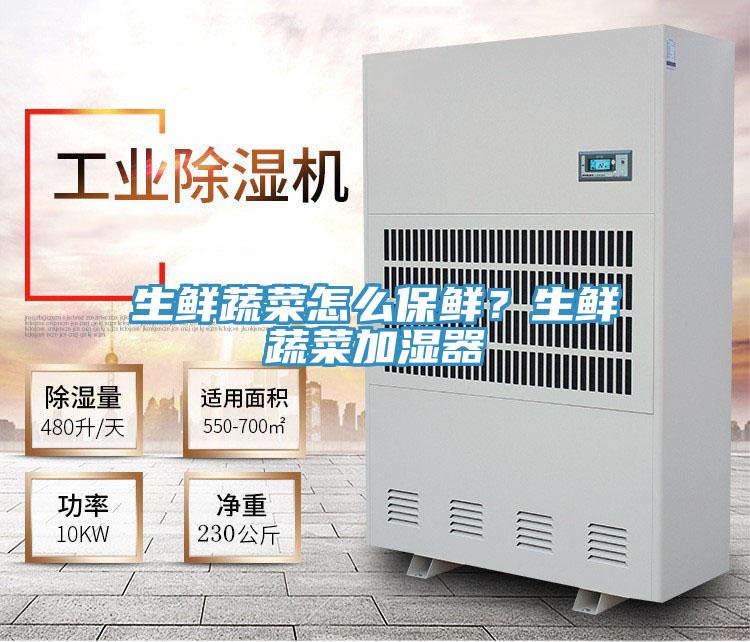 生鮮蔬菜怎么保鮮?生鮮蔬菜加濕器