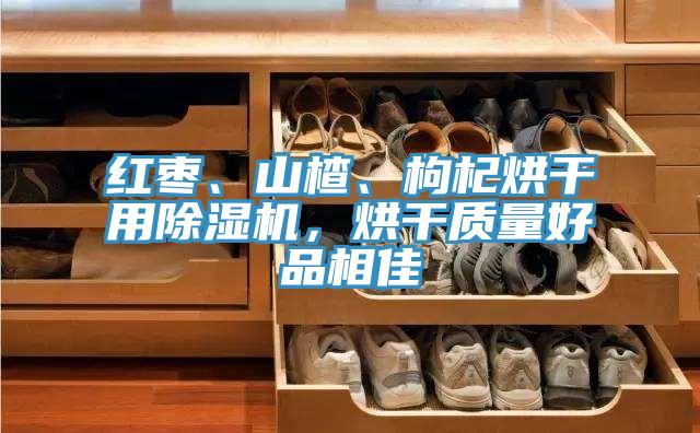 紅棗、山楂、枸杞烘干用除濕機，烘干質量好品相佳