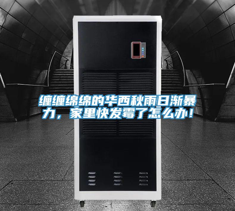 纏纏綿綿的華西秋雨日漸暴力，家里快發(fā)霉了怎么辦！