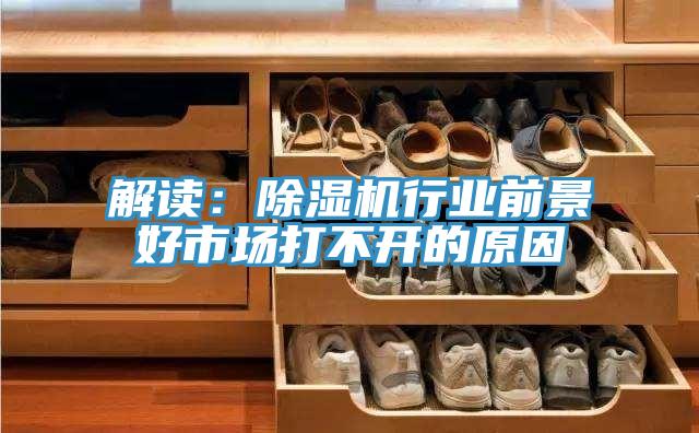 解讀:除濕機(jī)行業(yè)前景好市場(chǎng)打不開的原因