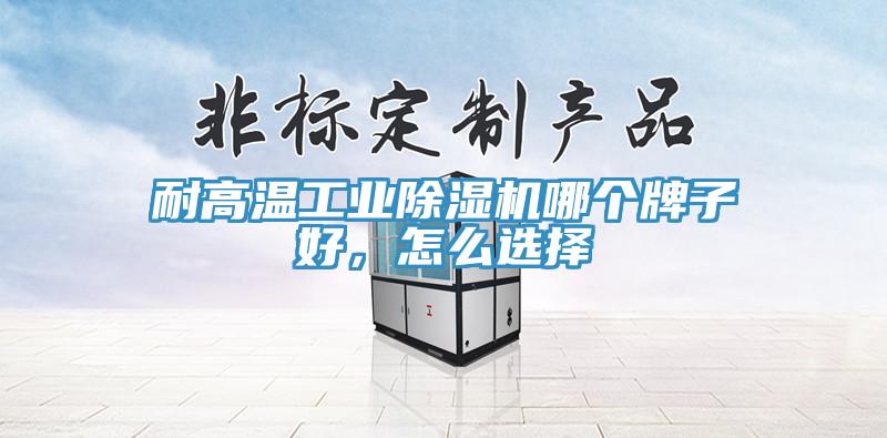 耐高溫工業(yè)除濕機哪個牌子好，怎么選擇