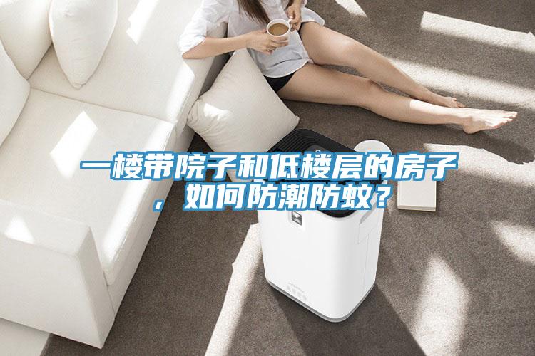 一樓帶院子和低樓層的房子，如何防潮防蚊？