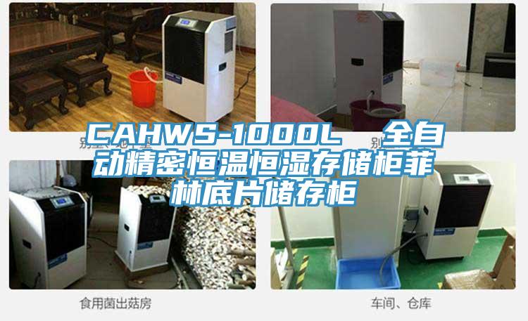 CAHWS-1000L 全自動精密恒溫恒濕存儲柜菲林底片儲存柜