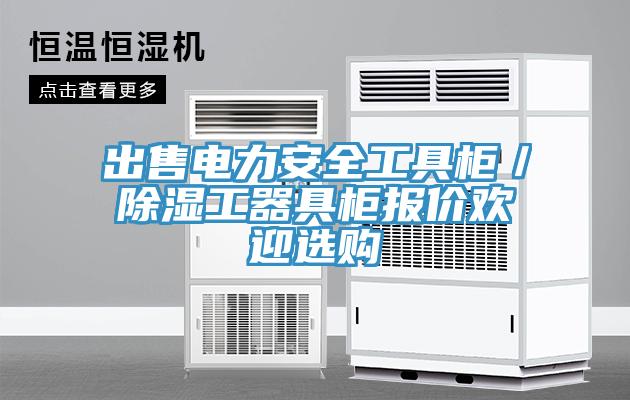 出售電力安全工具柜／除濕工器具柜報(bào)價(jià)歡迎選購(gòu)