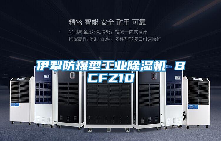 伊犁防爆型工業除濕機 BCFZ10