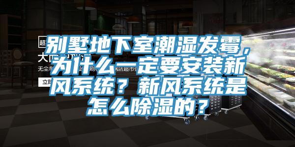 別墅地下室潮濕發霉，為什么一定要安裝新風系統？新風系統是怎么除濕的？