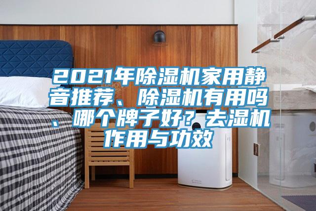 2021年除濕機家用靜音推薦、除濕機有用嗎、哪個牌子好？去濕機作用與功效