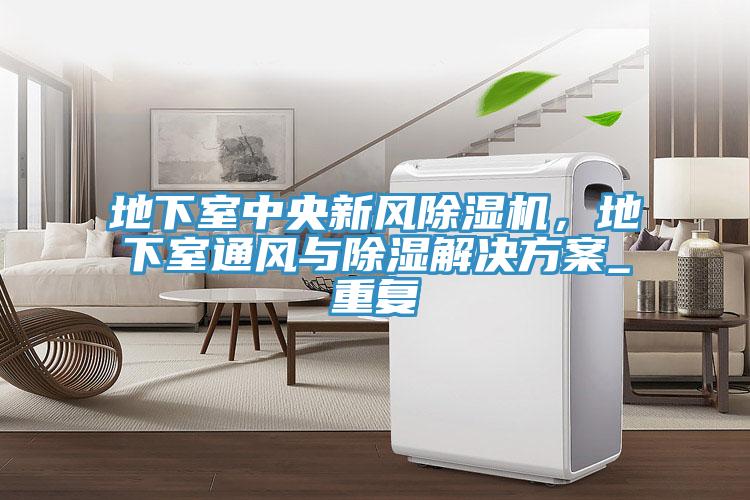 地下室中央新風除濕機，地下室通風與除濕解決方案_重復