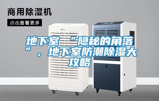 地下室≠“隱秘的角落”，地下室防潮除濕大攻略